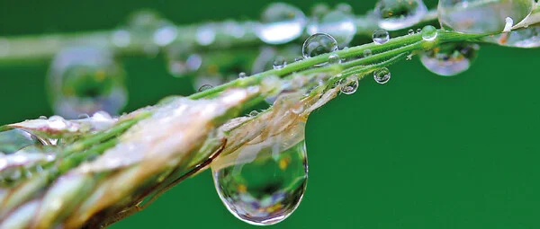 ivóvíz vizsgálat kútvíz csapvíz